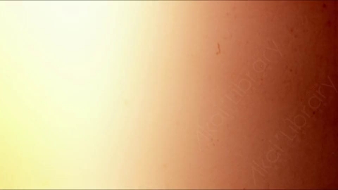 视频素材-胶片烧伤炫光Rampant_4K_Grunge_Light_200