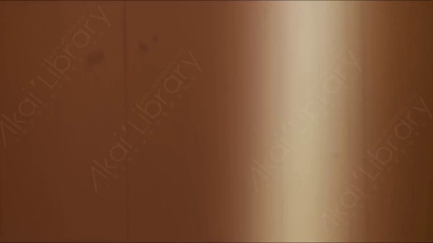 视频素材-胶片烧伤炫光Rampant_4K_Grunge_Light_216