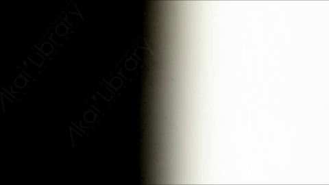 视频素材-胶片烧伤炫光Rampant_4K_Grunge_Light_221