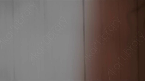 视频素材-胶片烧伤炫光Rampant_4K_Grunge_Light_222