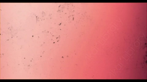 视频素材-胶片烧伤炫光Rampant_4K_Grunge_Light_224