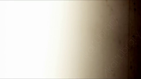 视频素材-胶片烧伤炫光Rampant_4K_Grunge_Light_230