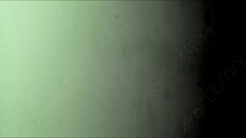 视频素材-胶片烧伤炫光Rampant_4K_Grunge_Light_233
