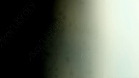 视频素材-胶片烧伤炫光Rampant_4K_Grunge_Light_237