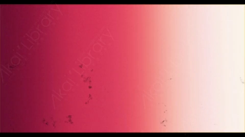 视频素材-胶片烧伤炫光Rampant_4K_Grunge_Light_240