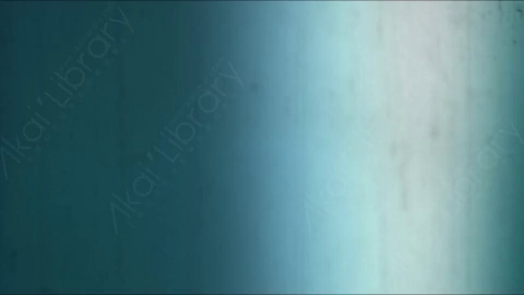 视频素材-胶片烧伤炫光Rampant_4K_Grunge_Light_244