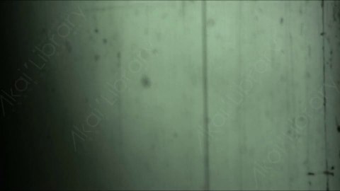 视频素材-胶片烧伤炫光Rampant_4K_Grunge_Light_246