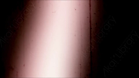 视频素材-胶片烧伤炫光Rampant_4K_Grunge_Light_247