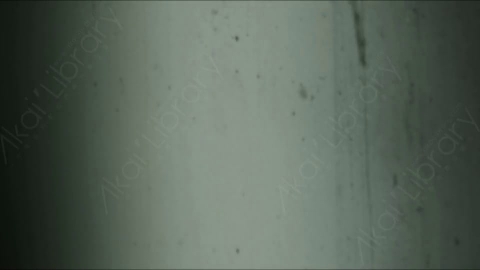 视频素材-胶片烧伤炫光Rampant_4K_Grunge_Light_253