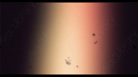 视频素材-胶片烧伤炫光Rampant_4K_Grunge_Light_254