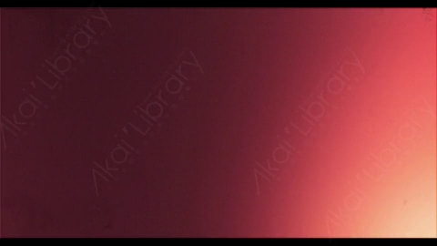 视频素材-胶片烧伤炫光Rampant_4K_Grunge_Light_256