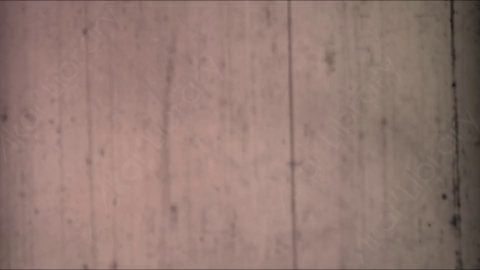 视频素材-胶片烧伤炫光Rampant_4K_Grunge_Light_260