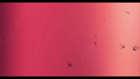 视频素材-胶片烧伤炫光Rampant_4K_Grunge_Light_263