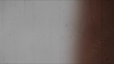 视频素材-胶片烧伤炫光Rampant_4K_Grunge_Light_275