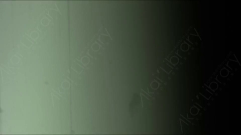 视频素材-胶片烧伤炫光Rampant_4K_Grunge_Light_282