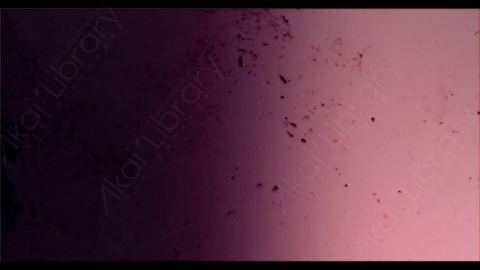 视频素材-胶片烧伤炫光Rampant_4K_Grunge_Light_283
