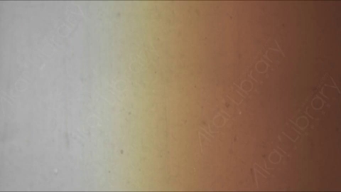 视频素材-胶片烧伤炫光Rampant_4K_Grunge_Light_284