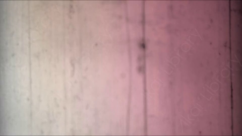 视频素材-胶片烧伤炫光Rampant_4K_Grunge_Light_289