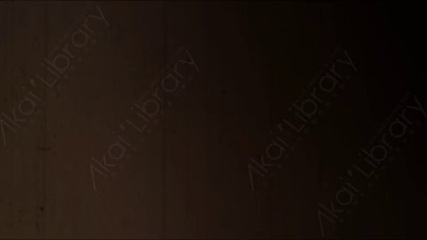 视频素材-胶片烧伤炫光Rampant_4K_Grunge_Light_293
