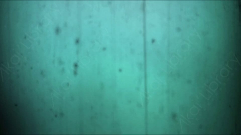 视频素材-胶片烧伤炫光Rampant_4K_Grunge_Light_294