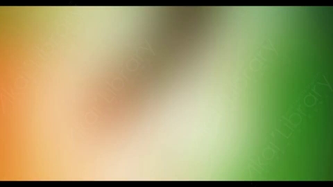 视频素材-炫光Rampant_4K_Modern_Film_Flashes_019