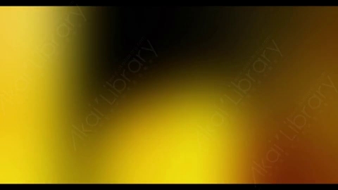 视频素材-炫光Rampant_4K_Modern_Film_Flashes_027