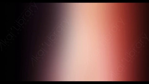 视频素材-炫光Rampant_4K_Modern_Film_Flashes_029