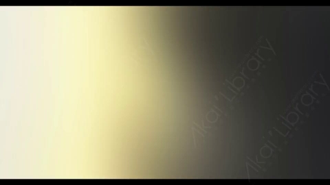 视频素材-炫光Rampant_4K_Modern_Film_Flashes_038