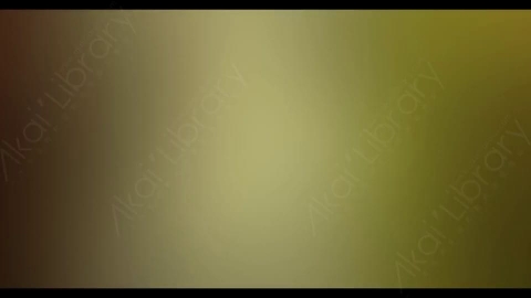 视频素材-炫光Rampant_4K_Modern_Film_Flashes_040