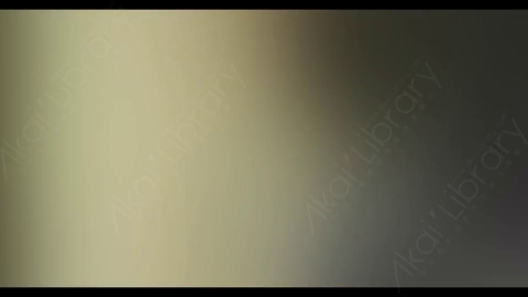 视频素材-炫光Rampant_4K_Modern_Film_Flashes_044