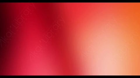 视频素材-炫光Rampant_4K_Modern_Film_Flashes_045