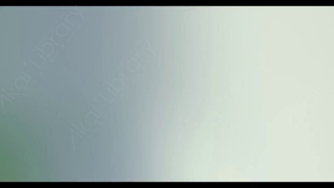 视频素材-炫光Rampant_4K_Modern_Film_Flashes_081