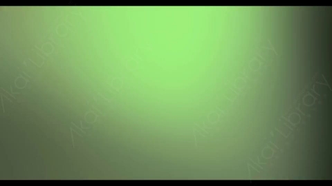 视频素材-炫光Rampant_4K_Modern_Film_Flashes_099