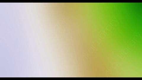 视频素材-炫光Rampant_4K_Modern_Film_Flashes_100