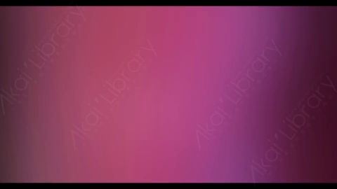视频素材-炫光Rampant_4K_Modern_Film_Flashes_101