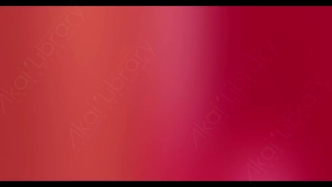 视频素材-炫光Rampant_4K_Modern_Film_Flashes_105