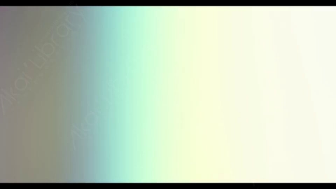 视频素材-炫光Rampant_4K_Modern_Film_Flashes_106