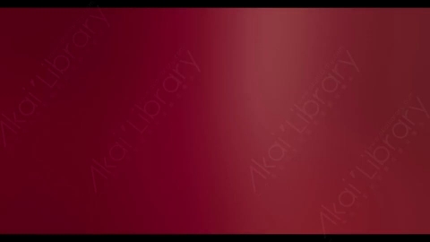 视频素材-炫光Rampant_4K_Modern_Film_Flashes_111
