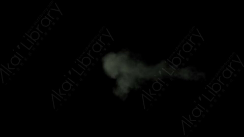 视频素材-烟雾Rampant_4K_Smoke_076
