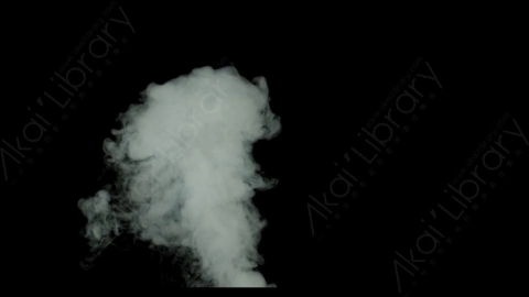 视频素材-烟雾Rampant_4K_Smoke_106