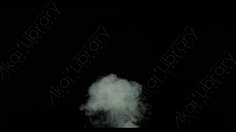 视频素材-烟雾Rampant_4K_Smoke_111