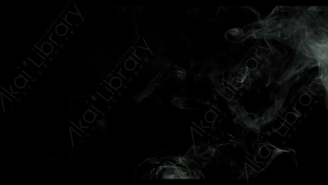 视频素材-烟雾Rampant_4K_Smoke_141