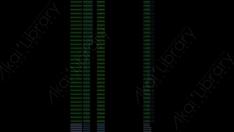 视频素材-故障毛刺元素Rampant_Distortion_Streams_040