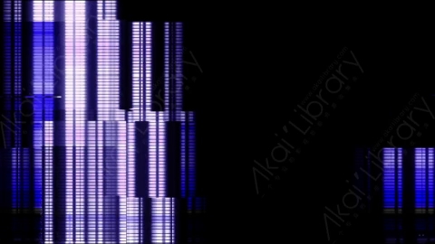 视频素材-故障毛刺转场Rampant_Distortion_Transitions_016