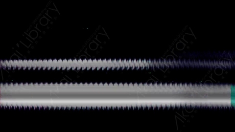 视频素材-故障毛刺转场Rampant_Distortion_Transitions_179