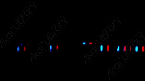 视频素材-故障毛刺转场Rampant_Distortion_Transitions_242