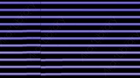 视频素材-故障毛刺转场Rampant_Distortion_Transitions_298