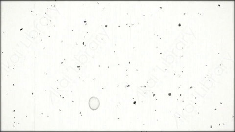 视频素材-胶片划痕Rampant_FilmElement_029