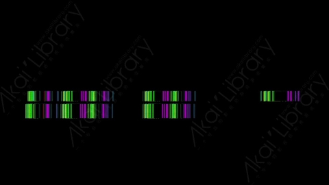 视频素材-故障毛刺元素Rampant_Glitch_Effects_575