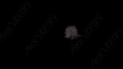 视频素材-枪口火焰Rampant_Muzzle_Smoke_033